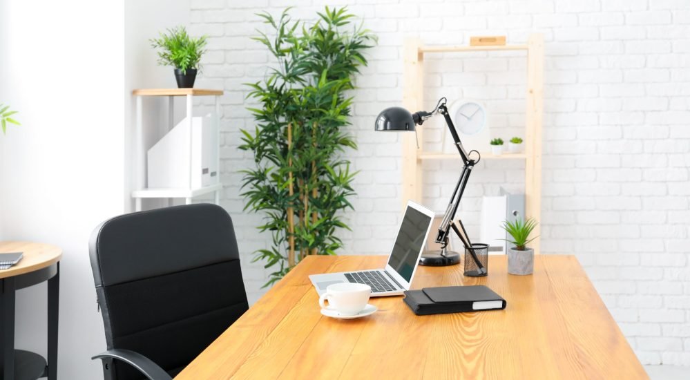 Comfortable workplace in light room